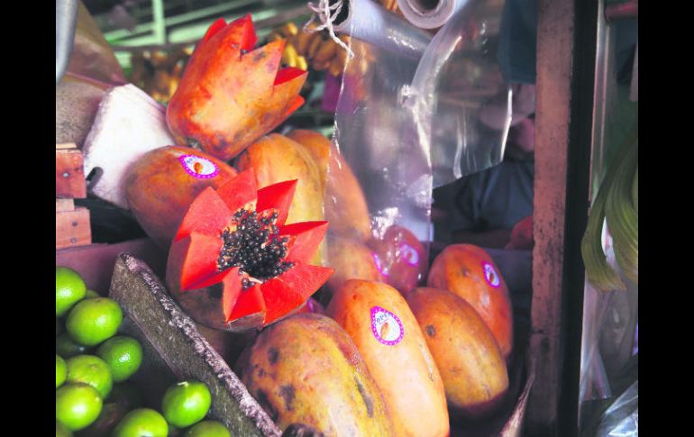 Crecimiento. Jalisco ocupa el séptimo escalón en producción de papaya a nivel nacional. EL INFORMADOR / G. Gallo