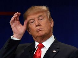 Según el portavoz oficial de la Casa Blanca, Trump apoyará la investigación. AFP / ARCHIVO