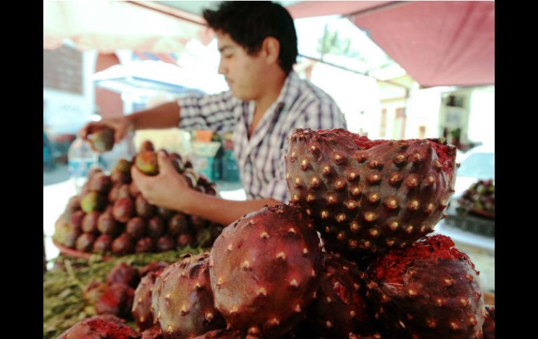 El fruto tradicionalmente se expende en las Nueve Esquinas en mayo y junio. EL INFORMADOR / E. Barrera