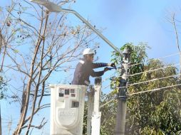 La campaña busca recolectar 20 mil lámparas fluorescentes, focos ahorradores y lámparas de mercurio de alta presión. EL INFORMADOR / ARCHIVO