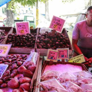 Supervisarán negocios de productos de mar