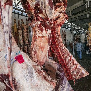 Gobierno Federal facilitará importación de carne de res y arroz