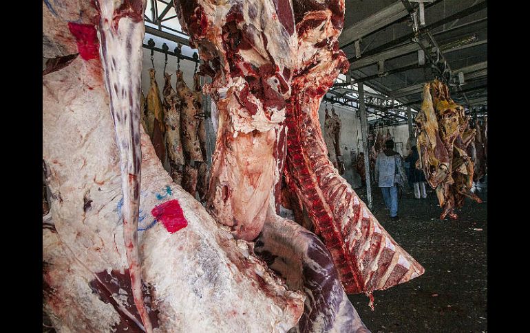 Estas acciones son para reducir la dependencia de las importaciones estadounidenses. EL INFORMADOR / ARCHIVO