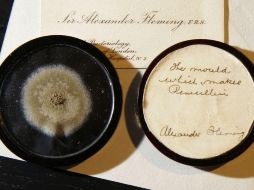 El diminuto platillo lleno de hongo se vendió en Londres por 14 mil 597 dólares. AP / A. Grant