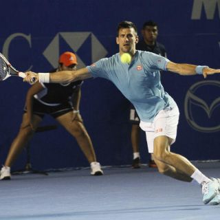 Djokovic elimina a Del Potro en Acapulco