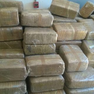 México, entre los países con mayor producción y tráfico de droga: EU