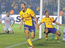 Los Felinos iniciarán la serie jugando como locales. SUN / ARCHIVO