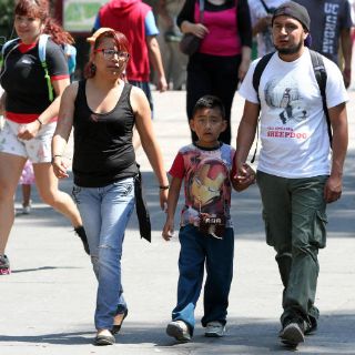 Disminuye integración de hogares tradicionales en México