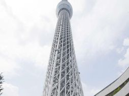 Rivada Networks emprendió acciones contra la SCT tras perder la licitación de Red Compartida. EFE / ARCHIVO