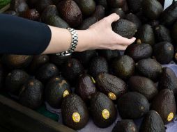 Por segunda semana consecutiva, el aguacate y el limón son los productos básicos que mostraron la mayor variación en su precio. AFP / ARCHIVO