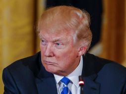 La propuesta de Donald Trump restringe el acceso a Estados Unidos a inmigrantes de seis naciones musulmanas. EFE / E. Lesser