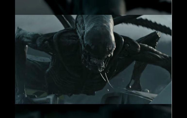 Los Xenomorfo se preparan para una película más. YOUTUBE / 20th Century Fox