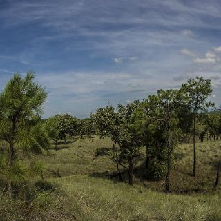 La Primavera cumple 37 años como área protegida