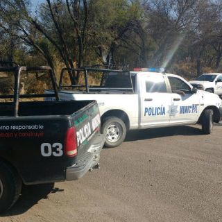 Encuentran dos cadáveres desmembrados en Teocaltiche