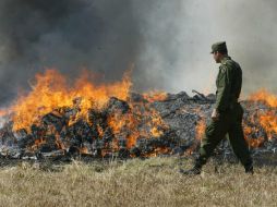 En dichos lugares, apuntan, se recabaron muestras representativas, mismas que fueron puestas a disposición del Ministerio Público. EL INFORMADOR / ARCHIVO