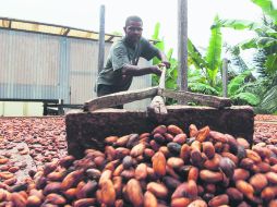El chocolate le ha dado una nueva oportunidad a los campesinos colombianos. EFE / ESPECIAL
