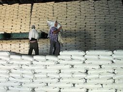 En puerta, ronda de conversaciones. EL INFORMADOR / ARCHIVO