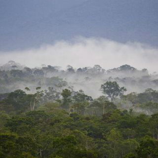 El Amazonas, amenazado por sequía y deforestación