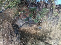 El cuerpo fue encontrado al medio día de este lunes, informaron autoridades. ESPECIAL /