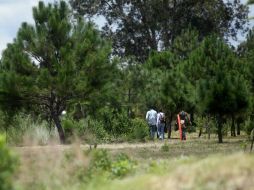 Colomos III es una de las zonas verdes protegidas de la ciudad. EL INFORMADOR / ARCHIVO