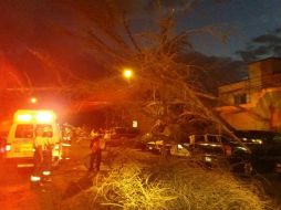 El accidente ocurrió en el cruce de avenida Chamizal y Revolución, en Guadalajara. ESPECIAL / Bomberos Guadalajara