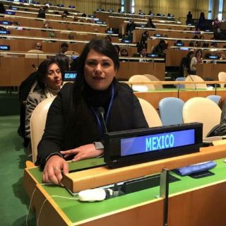 Sobresale diputada por Jalisco... por viajera