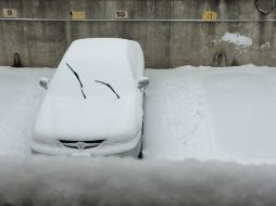 Las autopistas siguen cerradas y más de 300 vehículos bloquean desde hace más de 12 horas en el acceso al aeropuerto de Montreal. NTX / I. Inclán