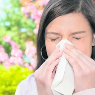 Mayoría de casos de asma se originan de alergias