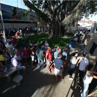 Se registran más de 400 casos de fiebre amarilla en Brasil