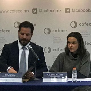 Grupo México presentará argumentos sobre competitividad de sistema ferroviario