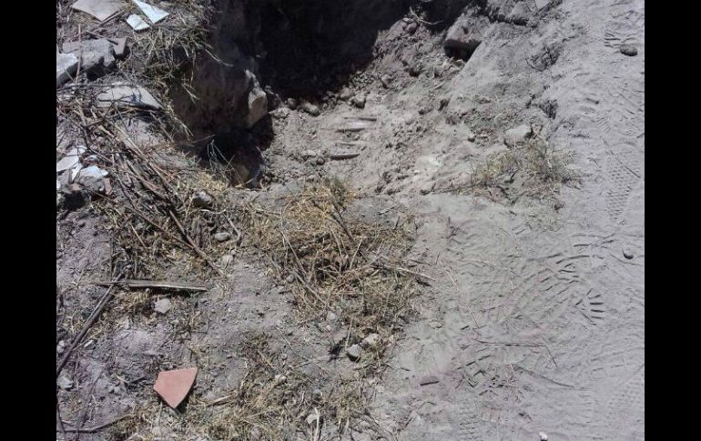 Un juez ordenó la suspensión de las obras en la avenida Ángel Leaño. ESPECIAL / Cómite Salvabosque