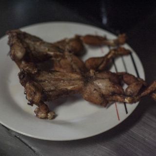 Jalisco prevé subir producción de carne de rana este año