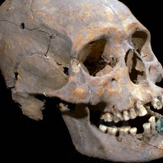 La UNAM analiza osamenta que podría ser del siglo VI