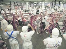 Control. Trabajadores de Marfrig laboran en su planta en Tangara da Serra, Brasil. ESPECIAL /