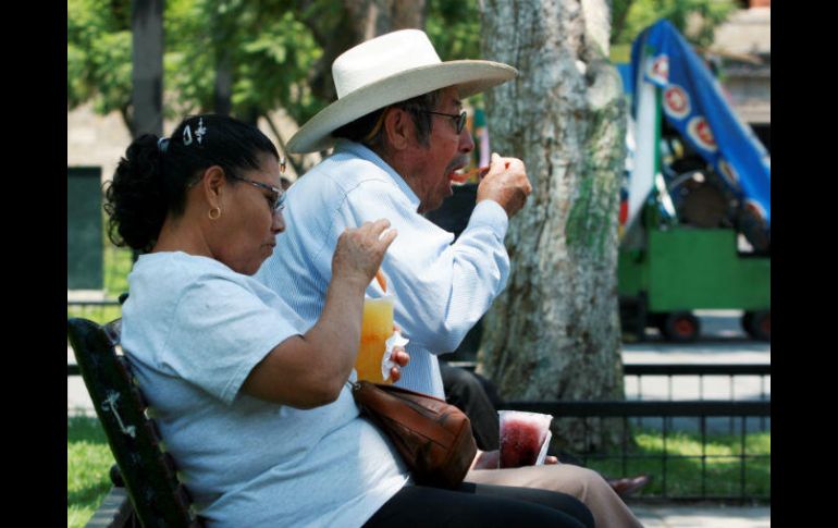 Este lunes se espera la llegada de la Primavera, por lo que el frío matutino y nocturno se irá alejando. EL INFORMADOR / ARCHIVO