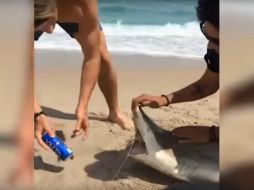 Los mensajes de rechazo hacia el actuar de los jóvenes ''Spring break'' son la constante entre las publicaciones. YOUTUBE / hike