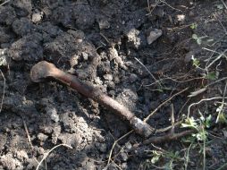 Peritos trabajaron en la recuperación de los restos óseos que yacían de manera superficial en el predio mencionado. EFE / ARCHIVO