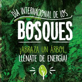El mundo conmemora el Día Internacional de los Bosques