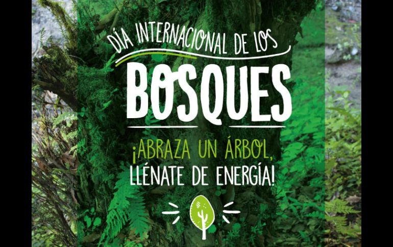 La ONU destacó que los bosques son fuente de energía y en una futura economía verde mundial. TWITTER / @SEMARNAT_mx
