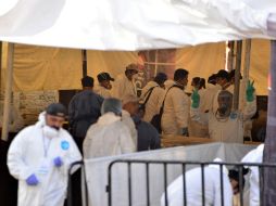 En el proceso de exhumación participan unos 30 peritos, forenses, arqueólogos, criminalistas, en fotografía y médicos legistas. EFE / T. Rivera
