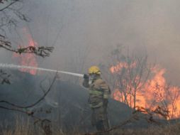 Imagen del incendio que se registró cerca de avenida Río Blanco en una zona cercana al bosque El Diente. ESPECIAL / Bomberos de Zapopan