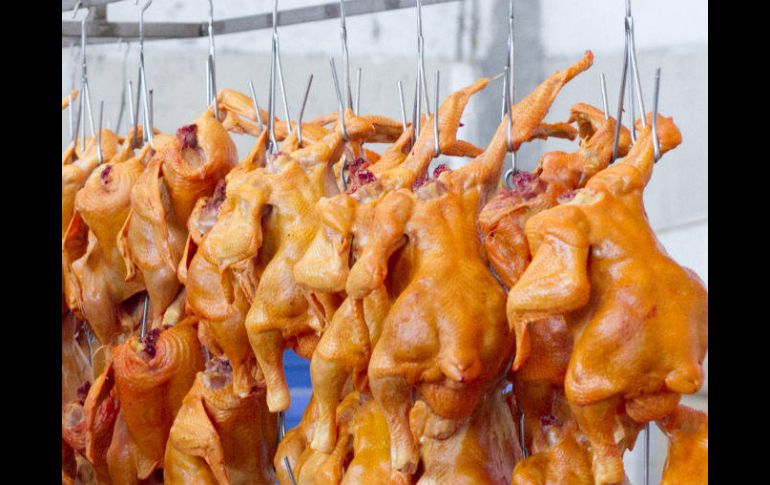 Brasil sólo exportará productos avícolas, como carne refrigerada, congelada y deshidratada de pollo y pavo. EFE / ARCHIVO
