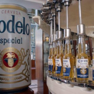 Grupo Modelo usará 100% cebada de México