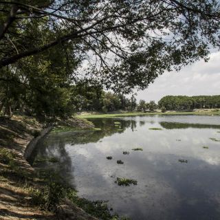 Plantarán 870 árboles en la zona del Deán