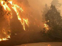 De acuerdo con Protección Civil, el incendio se registró por la carretera de Cuernavaca a Buenavista del Monte. TWITTER / @CEECA_Morelos