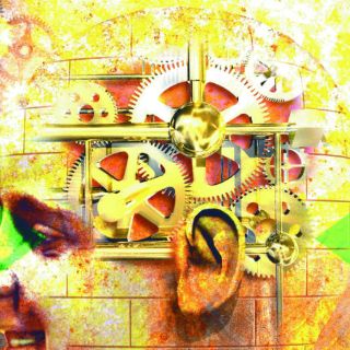 Mito, que humanos usen sólo 10 por ciento del cerebro