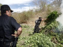 En dicho lugar, se recabaron muestras representativas, mismas que fueron puestas a disposición del Ministerio Público. EL INFORMADOR / ARCHIVO