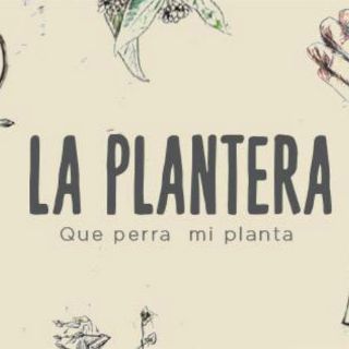 Plan de fin de semana: 'La Plantera'