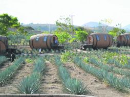 El hotel se integra a la perfección con la naturaleza. EL INFORMADOR / J. Pérez