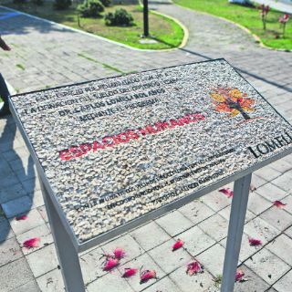 Diputado considera quitar propaganda irregular en parque